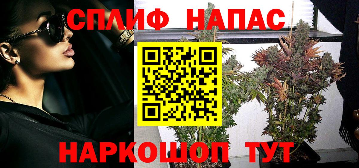 Бошки марихуана Amnesia Канаш